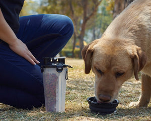 Pet Kit------DBA2796