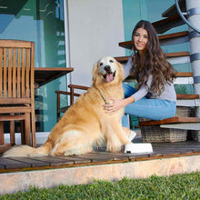 Cargar imagen en el visor de la galería, Plato para mascotas de plástico---CIPET005