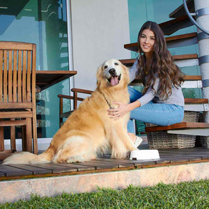 Plato para mascotas de plástico---CIPET005