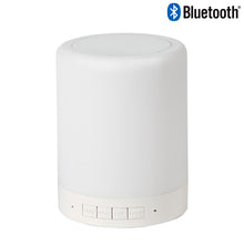 Cargar imagen en el visor de la galería, Bocina con cambios de luz, bluetooth y radio FM---NVTH059