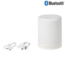 Cargar imagen en el visor de la galería, Bocina con cambios de luz, bluetooth y radio FM---NVTH059